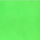 Kant band* - Rekbaar kant 1.7 cm lime 2145-334