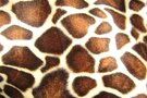 Giraffeprint stoffen - Polyester stof - Dierenprint giraffe - ecru/bruin/donkerbruin - 4508-056