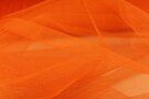 Doorschijnende stoffen - Tule stof - oranje - 4587-021