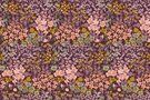 Aubergine stoffen - Katoen stof - poplin bloemen - aubergine - 9926-004
