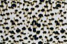 Dierenprint stoffen - Polyester stof - Travel panter - bruin - 18572-098 