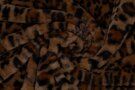 Fur bont stoffen - Bont stof - panterprint - bruin - 416056-22