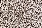 Polytex stoffen - Viscose stof - lyocell bloemen - zwart wit - 321010-10