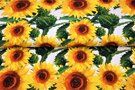 Stenzo Tricot stoffen - Tricot stof - digitaal zonnebloemen - wit - 21953-02