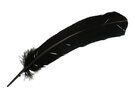 Federn - Lose Federn - 30-35cm - schwarz - 79581