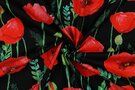By Poppy - Katoen stof - digitaal bloemen - zwart - 3027-001