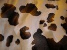 Bruine stoffen - Polyester stof - Dierenprint koe creme bruine - vlekken. - 4500-052
