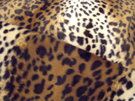 Ecru stoffen - Polyester stof - Dierenprint (kleine vlekjes - ecru/bruin/zwart) - 4517-056