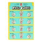 Zilver - Drukknopen White Rabbit Zilver 18mm 3000-18 (per 3 stuks)