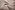 Polyester stof - Interieur- en gordijnstof - zand - 322228-F2-X