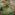 Tricot stof - Hawaiian tie dye - groen - 16813-213