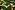 Ptx 961081-43 Katoen leger donkerbruin/groen/geel/zwart