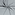 Katoen stof - boerenbont mini ruitje (0,2 cm) - donkergroen - 5581-028