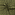 Katoen stof - camouflage - legergroen - 15801-027