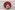 ACTIE Keperband 50 meter per rol Rood 10mm 0101-009