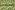 Tricot stof - digitaal palmbomen - beige - 19123-22