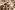Polyester stof - Dierenprint giraffe - ecru/bruin/donkerbruin - 4508-056