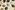 Fleece stof - jacquard dog feet - ecru/bruin - 4007-524