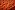 Katoen stof - legerprint - oranje - 15798-056