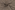 Tricot stof - bedrukt stippen - bruin - 18220-054