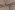 Tricot stof - gestreept - bruin - 18489-055