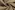 Viscose stof - poplin - beige - 19299-152