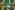Tricot stof - digitaal lost in paradise - multi - 21082
