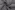 Linnen stof - gewassen ramie - grijs - 2155-168