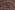 Tricot stof - zebraprint - zwart bruin roze - 340158-21