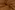 tricot stof - Ajour ruiten - karamel - 18495-053