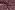 Katoen stof - kleine sterretjes - donker roze - 1266-014