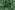 Viscose stof - borken crepe bloemen - marine/groen - 19099-008