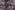 Viscose stof - bladeren - zwart/oud roze - 20161-014