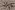 Viscose stof - twill - bloemen - taupe - 20065-054