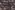 Tricot stof - bloemen - zwart - 20198-069