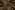 Polyester stof - corduroy - taupe - 20227-054