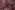 Doorgestikte stof - gestept met dierenprint - paars/aubergine - 20027-870