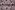 Tricot stof - digitaal bloemen - roze - 22927-33