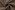 Tricot stof - punty twill - bruin - 0927-090