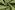 Joggingstof - appelgroen - 5650-024