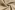 Katoen stof - hydrofielstof - licht beige - 3001-151
