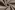 Katoen stof - Hydrofielstof uni - beige - 3001-052