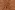 Sweattricot - gemêleerd honden - camel - 22/5536-034