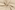 Tricot stof - gebreide wafel - beige - 16554-052