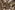 Viscose stof - stretch - poplin - bladeren - zwart groen - 20854-315