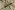 Viscose stof - nylon crepe - bloemen - groen - 21076-025