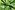 Katoen stof - katoen satijn - abstract - groen - 21083-025