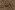 Tricot stof - panter - bruin - 21101-054