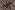 Viscose stof - nylon crepe - abstract - zwart wit - 21075-011