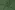 Katoen stof - slub washed - groen - 7477-009